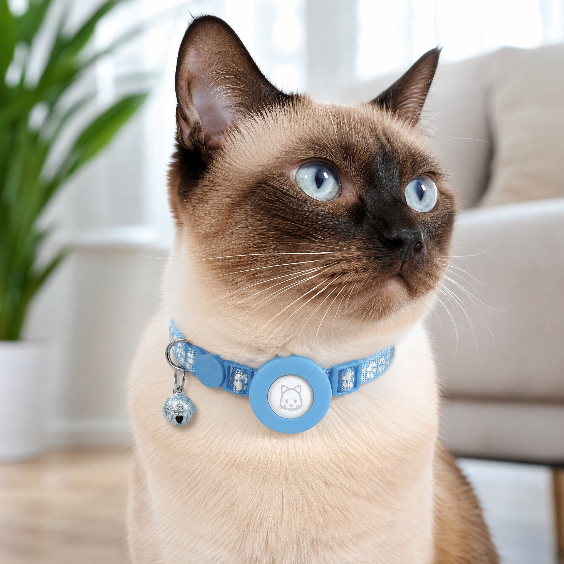 Collier de sécurité pour chat avec support AirTag